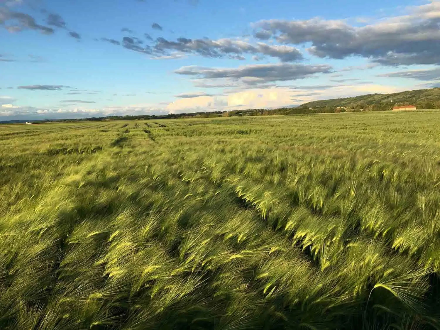 Agri Obtentions dans le monde