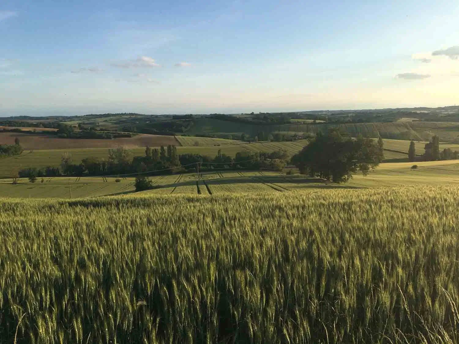 Nos métiers AgriObtentions